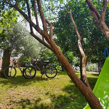 Apartments Vila Anastasia بودفا المظهر الخارجي الصورة